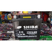MF/SHIBA/TOYO YTX 14-BS